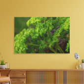 Natural Green Parsley Herb Foto van de keuken Canvas Afdruk (Insitu (Woonkamer))