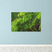 Natural Green Parsley Herb Foto van de keuken Canvas Afdruk (Insitu (Houten vloer))