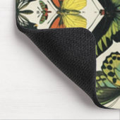Natural History Butterfly Muismat (Hoek)