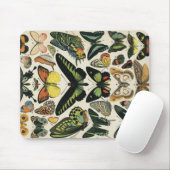 Natural History Butterfly Muismat (Met muis)