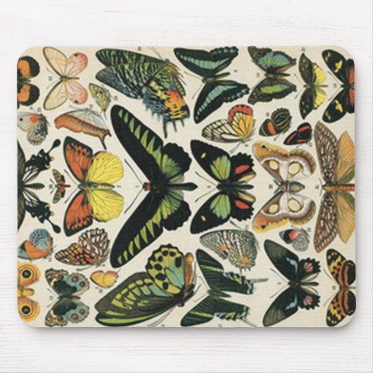 Natural History Butterfly Muismat (Voorkant)