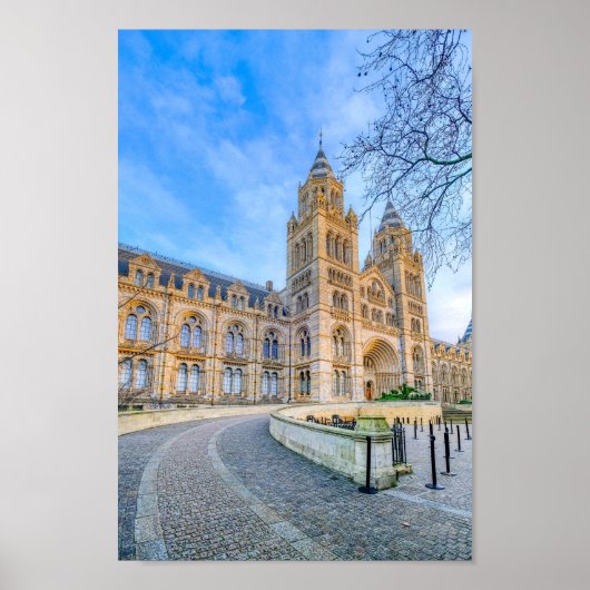 Natural History Museum, London Poster Print (Voorkant)