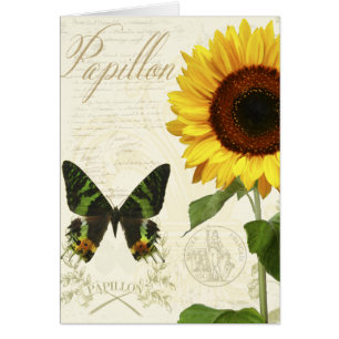 Natural History Sketchbook III