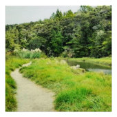 Natural Kakamatura Track langs Lagune Foto Perfect Poster (Voorkant)