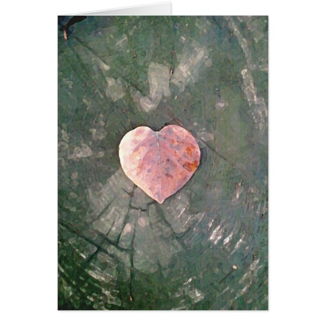 Natural Love IIII (Voorkant)