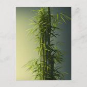 Natural Lucky Bamboo Briefkaart (Voorkant)