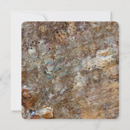 Natural Rough Rock Beach Zee Shell Summery Kaart (Achterkant)