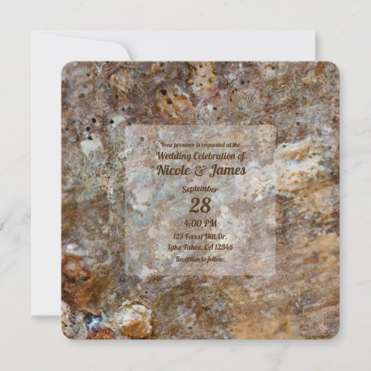 Natural Rough Rock Beach Zee Shell Summery Kaart (Voorkant)