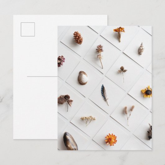 Natural Specimen Collection Minimalist Briefkaart (Voorkant / Achterkant)