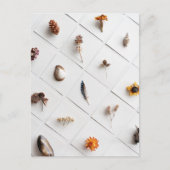 Natural Specimen Collection Minimalist Briefkaart (Voorkant)