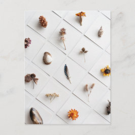 Natural Specimen Collection Minimalist Briefkaart