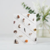 Natural Specimen Collection Minimalist Briefkaart (Staand voorkant)