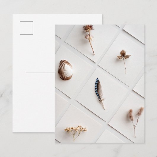 Natural Specimen Collection Minimalist Briefkaart (Voorkant / Achterkant)