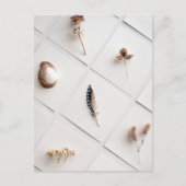 Natural Specimen Collection Minimalist Briefkaart (Voorkant)