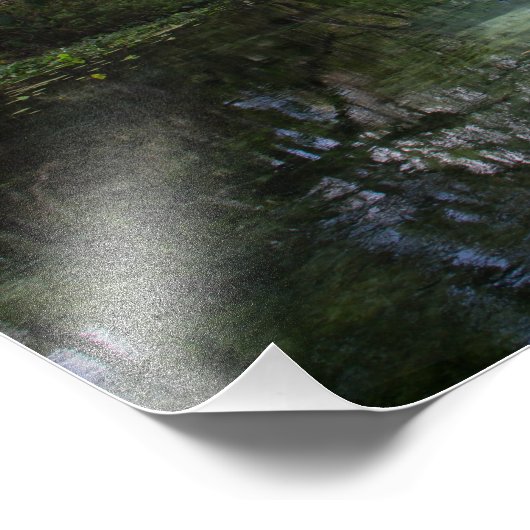 Natural Springs-foto Foto Afdruk (Hoek)