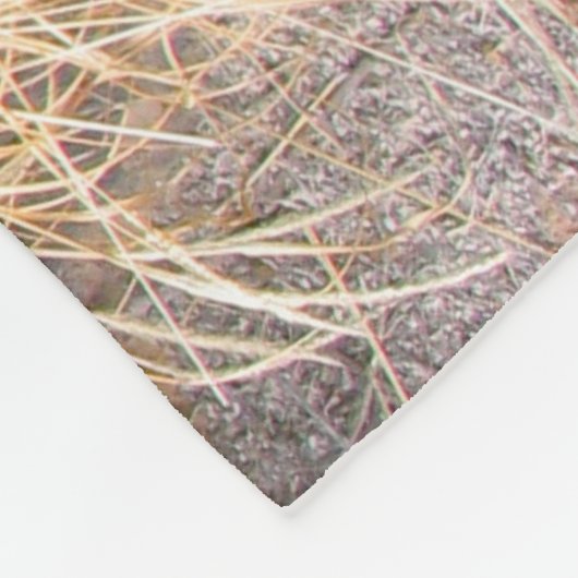 Natural Stone Petroglyph Fleece Deken (Hoek)