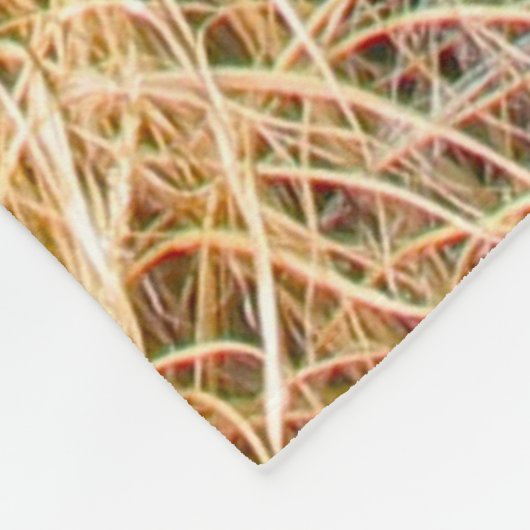 Natural Stone Petroglyph Fleece Deken (Hoek)