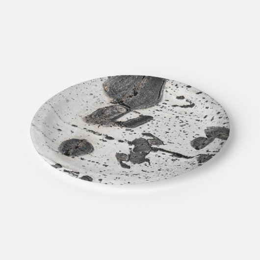 Natural Texture White Quaking Aspen Bark Photo Papieren Bordje (Gekanteld)