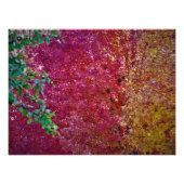 "Natural Vibrancy" Foto Afdruk (Voorkant)