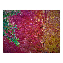 "Natural Vibrancy" Foto Afdruk