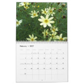 Natural Wonder 2010 Calendar Kalender (Feb 2027)