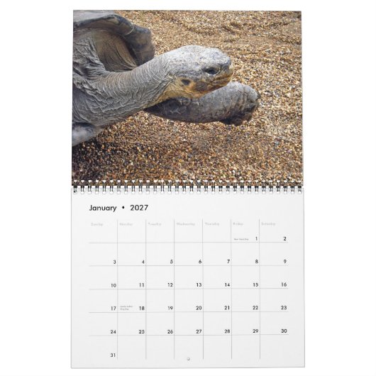 Natural Wonders of Australia Calendar Kalender (Jan 2027)