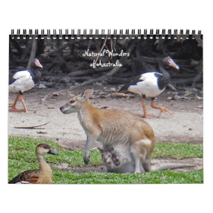 Natural Wonders of Australia Calendar Kalender