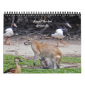 Natural Wonders of Australia Calendar Kalender (Hoes)