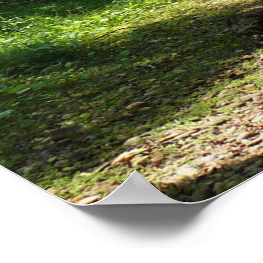 Natural Wonders Poster (Hoek)