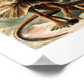 naturalist Ernst Haeckel - Grafiek Poster (Hoek)