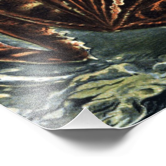  Naturalist Ernst Haeckel Kikkers en Toads P Foto Afdruk (Hoek)