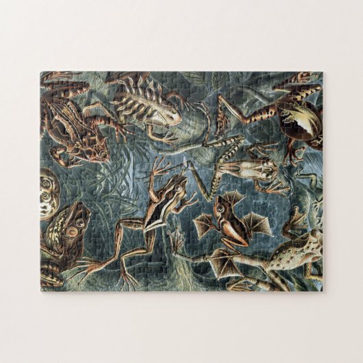  Naturalist Ernst Haeckel Kikkers en Toads P Legpuzzel (Horizontaal)