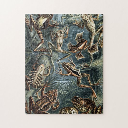 Naturalist Ernst Haeckel Kikkers en Toads P Legpuzzel (Verticaal)