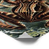 Naturalist Ernst Haeckel Kikkers en Toads Poster (Hoek)