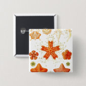 Naturalistisch Afbeelding van Starfish (Asteroide Vierkante Button 5,1 Cm (Voorkant /achterkant)