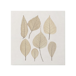  naturalistische botanische tekening | Vertrek uit