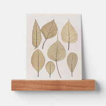  naturalistische botanische tekening | Vertrek uit