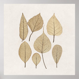  naturalistische botanische tekening | Vertrek uit Poster