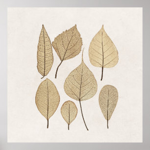  naturalistische botanische tekening   Vertrek uit Poster