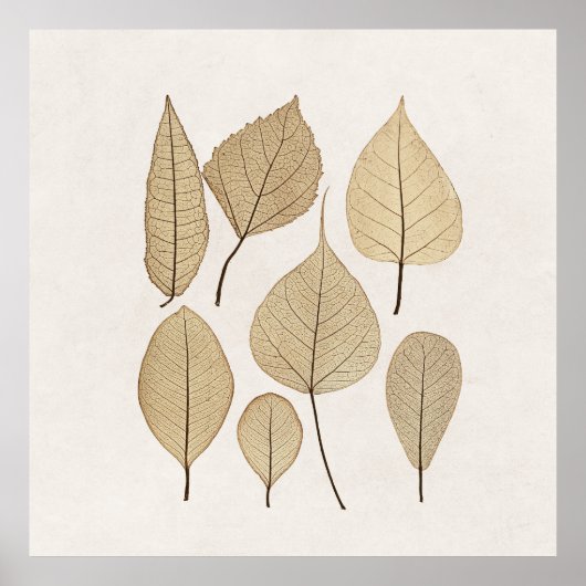  naturalistische botanische tekening | Vertrek uit Poster (Voorkant)