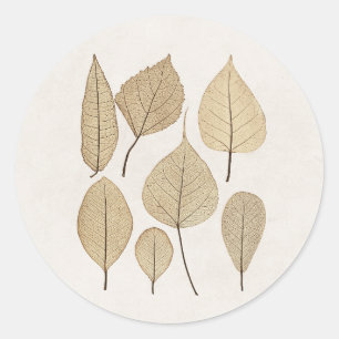  naturalistische botanische tekening   Vertrek uit Ronde Sticker
