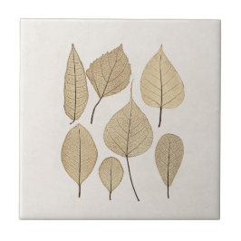  naturalistische botanische tekening | Vertrek uit Tegeltje