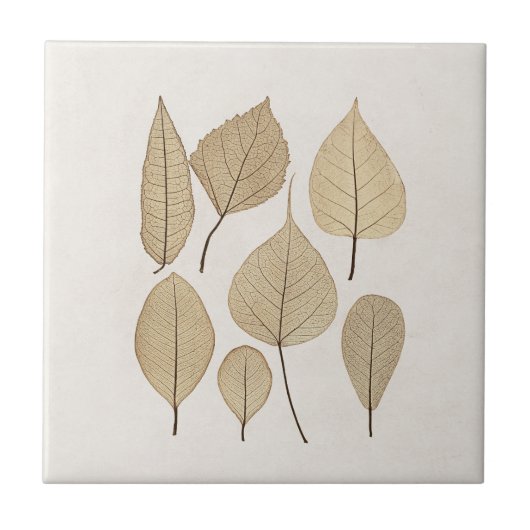 naturalistische botanische tekening | Vertrek uit Tegeltje (Voorkant)