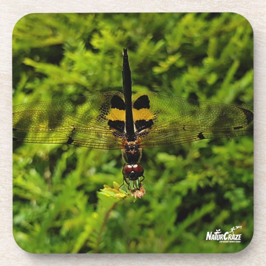 NaturCraze B&Y Dragonfly Hard plastiek onderzetter (Voorkant)
