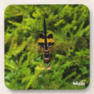 NaturCraze B&Y Libelle Harde plastic onderzetter