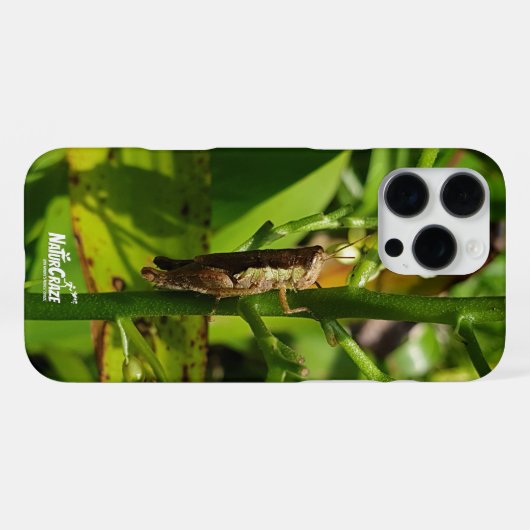 NaturCraze Brown Grasshopper iPhone hoesje iPhone 16 Pro Max Hoesje (Achterkant horizontaal)