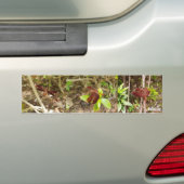 NaturCraze Rode Libelle Sticker (Op auto)
