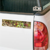 NaturCraze Rode Libelle Sticker (Op Truck)