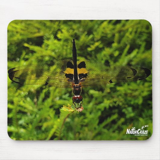 NaturCraze Zwart en Geel Dragonfly Mousepad Muismat (Voorkant)