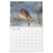 Nature And Animals Photography Kalender (Mar 2027)